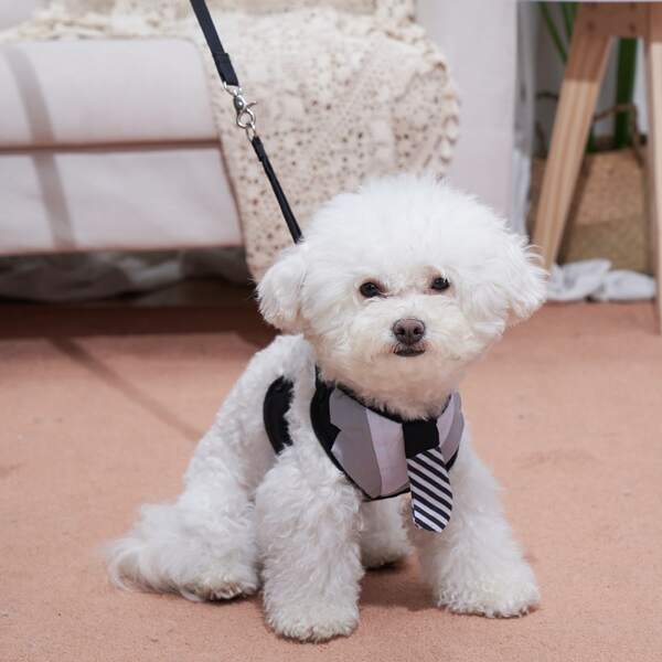 

1pc Tie Decor Pet Harness & 1pc Leash, Black