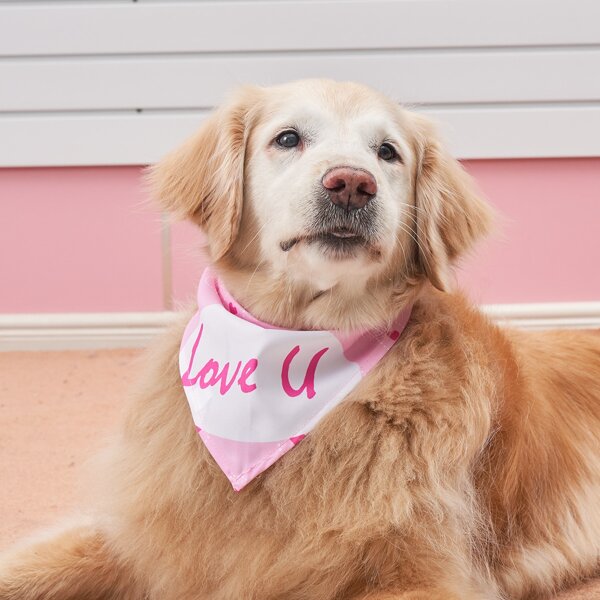 

Letter Graphic Pet Bandana, Pink