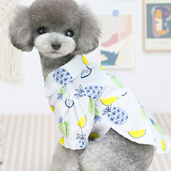 

Fruit Print Pet Shirt, Multicolor