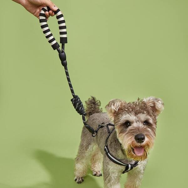 

1pc Braided Pet Harness & 1pc Leash, Black