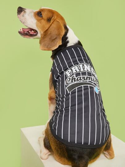 Top cu dungi pentru animale de companie