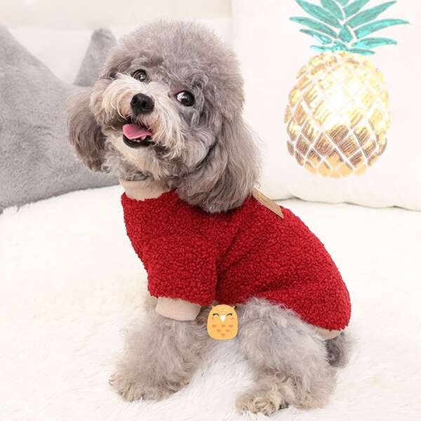 

Letter Graphic Pet Sweatshirt, Red