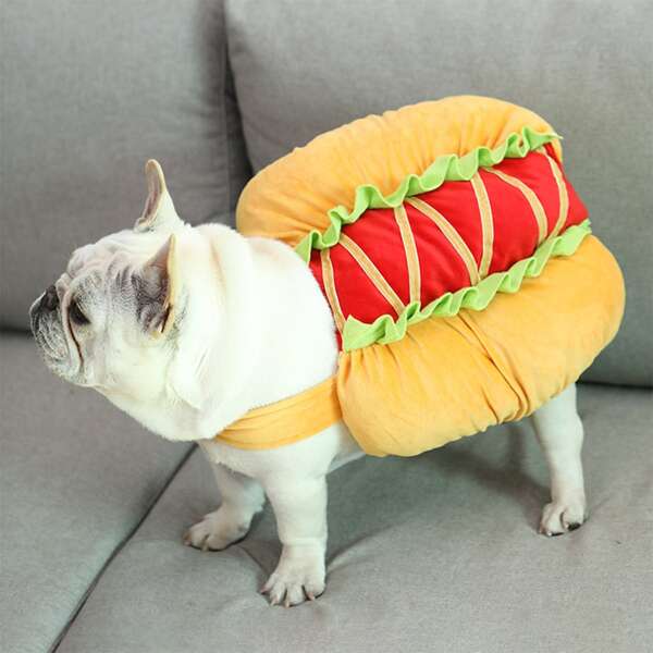 

Hot Dog Design Pet Costume, Multicolor