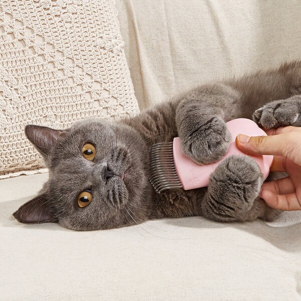 

1pc Pet Hair Comb, Pink