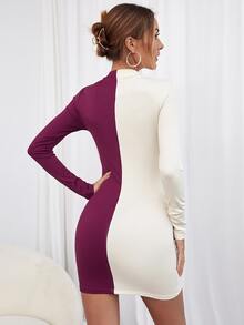 Two Tone Bodycon Dress - Multicolor - View 2