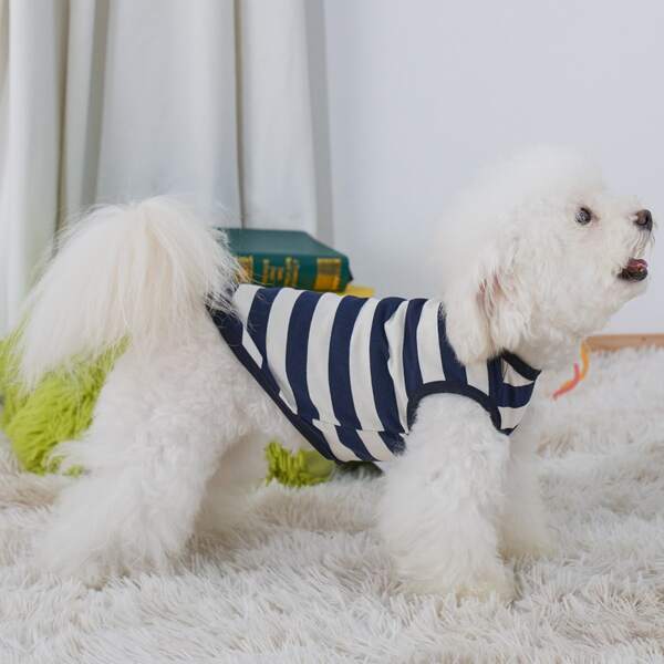 

Striped Pattern Pet Tank, Multicolor
