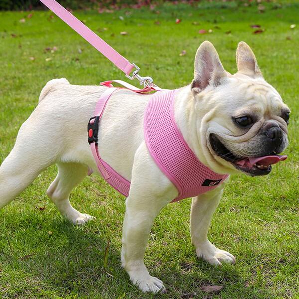 

1pc Plain Pet Harness & 1pc Leash, Pink