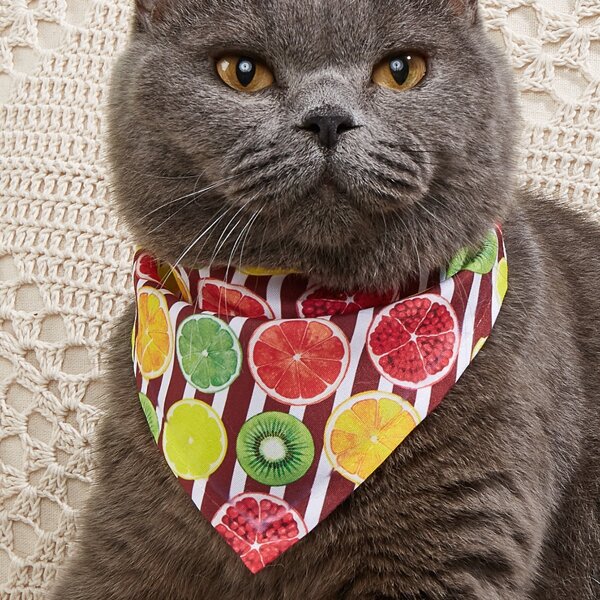 

Fruit Print Pet Bandana, Multicolor