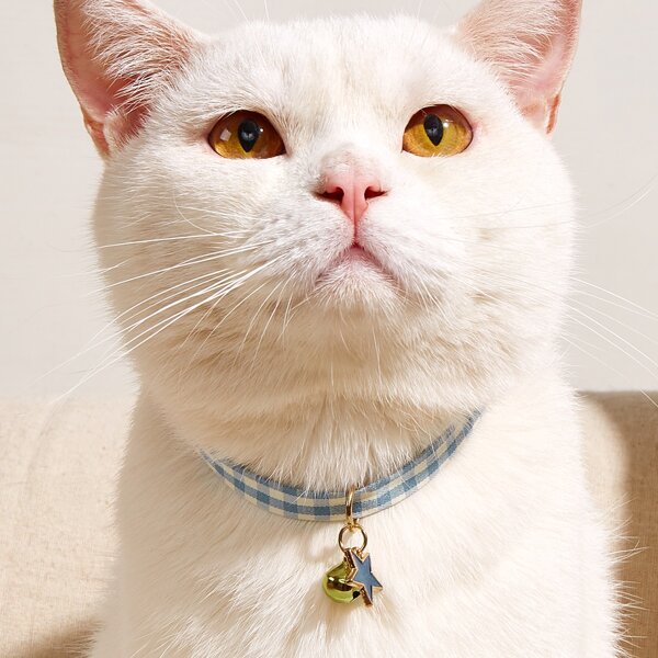 

Star Pendant Pet Collar, Blue