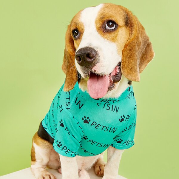 

Letter Graphic Pet Tee, Green