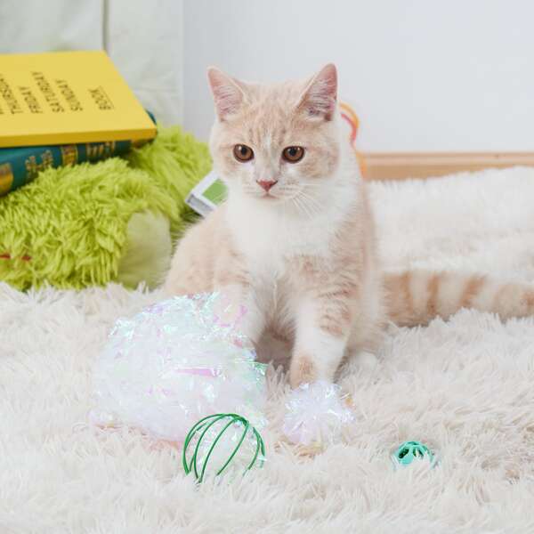 

4pcs Cat Teaser Ball Toy Set, Multicolor
