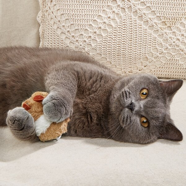 

Cartoon Plush Pet Chasing Toy, Brown