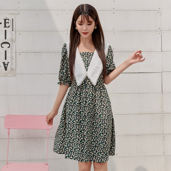 

Contrast Collar Ditsy Floral A-line Dress, Multicolor