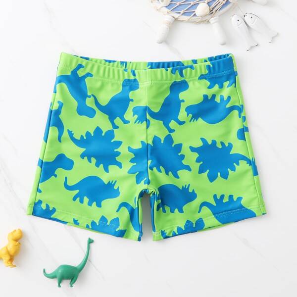 

Toddler Boys Dinosaur Print Swim Shorts, Multicolor