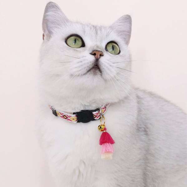 

Tassel Decor Pet Collar, Multicolor