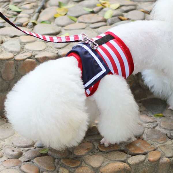 

1pc Striped Pattern Pet Harness & 1pc Leash, Multicolor