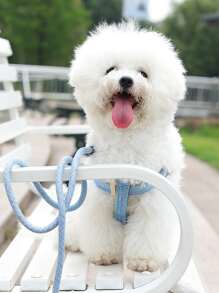 1入組素色寵物背帶和1入組牽引繩 - 藍色 - 查看 4