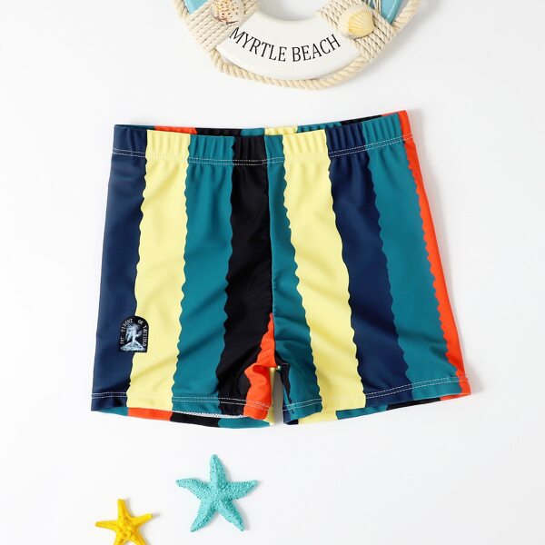 

Boys Striped Swim Shorts, Multicolor