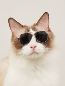 1pair Plastic Pet Sunglasses - Black - View 1