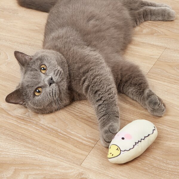 

1pc Cartoon Pet Plush Toy, White