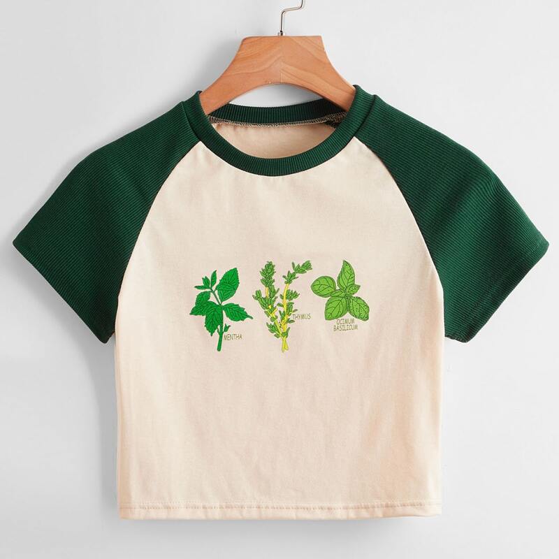 

Plants Print Raglan Sleeve Tee, Multicolor