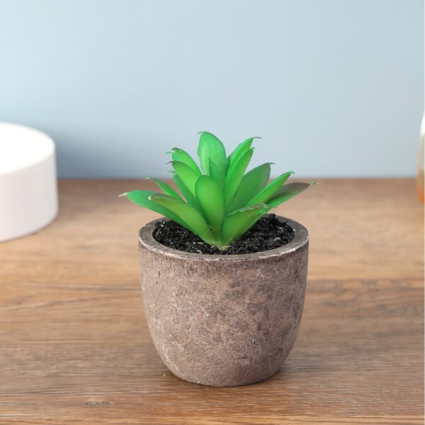 

1pc Artificial Potted Succulents, Green