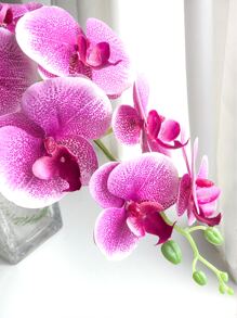 1pc Artificial Orchid - Purple - View 4