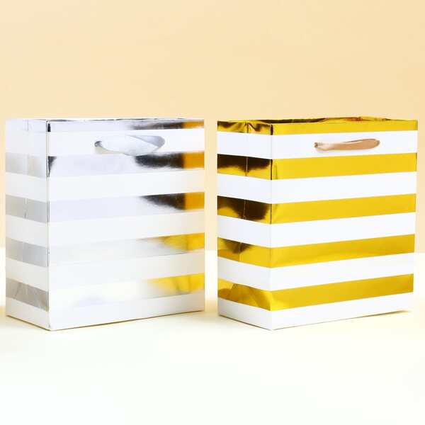 

2pcs Striped Gift Bag, Multicolor
