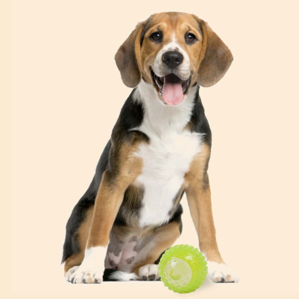 

1pc Pet Chew Ball Toy, Green