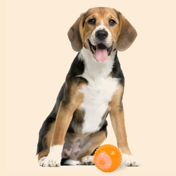 

1pc Pet Chew Ball Toy, Orange