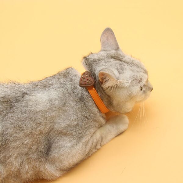 

Heart Pet Collar, Orange