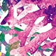 Multicolor
