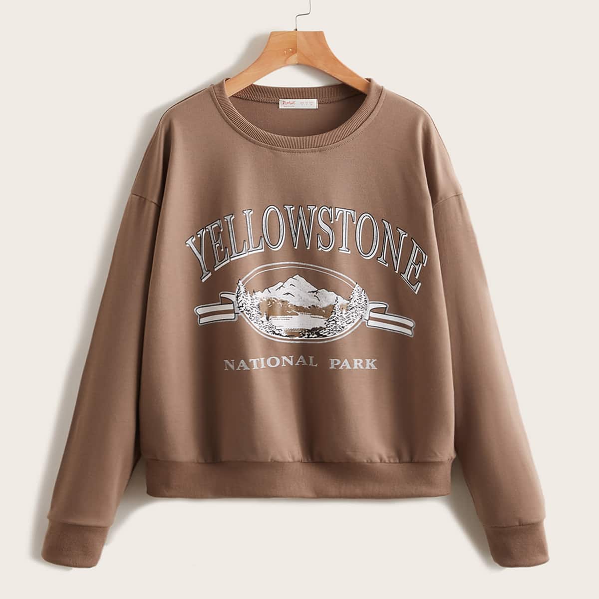 

Letter Graphic Sweatshirt, Brown