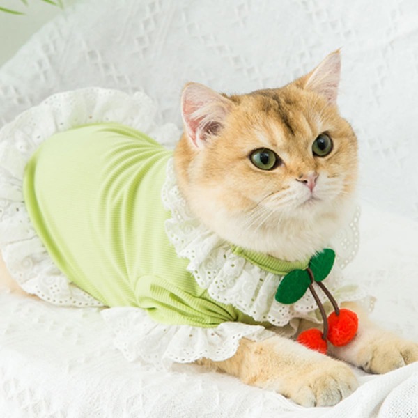 

Cherry Decor Pet Dress, Green