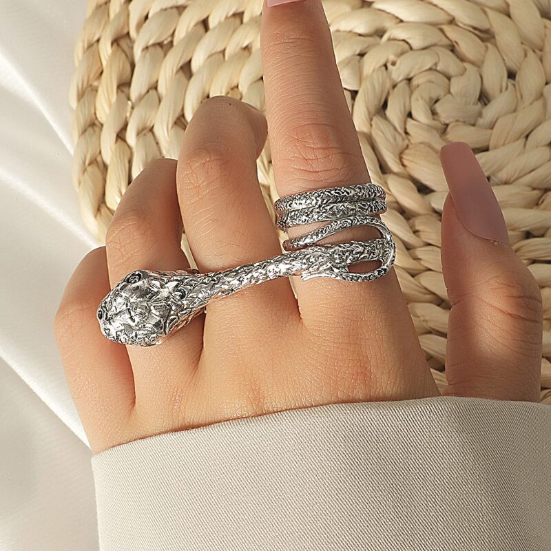 

1pc Serpentine Ring, Silver