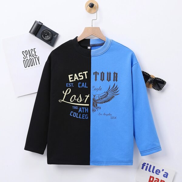 

Boys Two Tone Eagle & Letter Graphic Tee, Multicolor