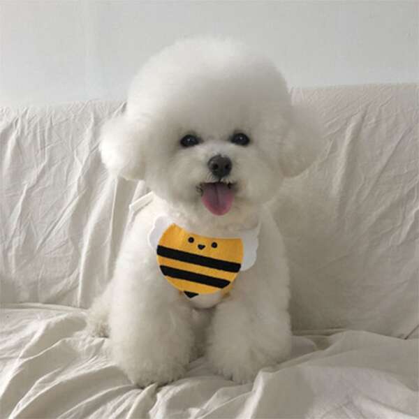 

1pc Cartoon Bee Pet Bib, Multicolor