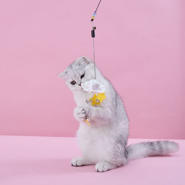 

2pcs Star Pendant Cat Teaser Wand, Multicolor