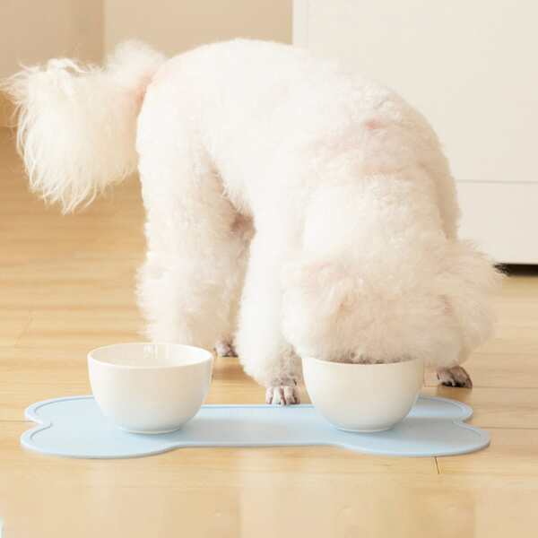 

1pc Random Color Pet Placemat, Multicolor