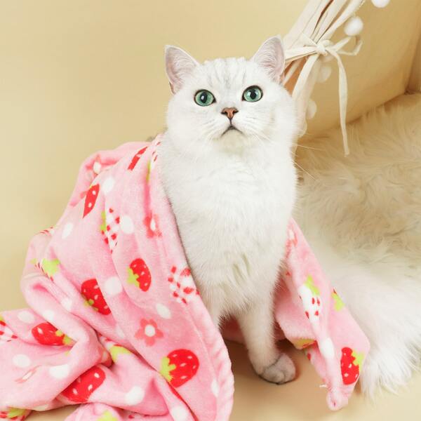 

Strawberry Print Pet Blanket, Pink