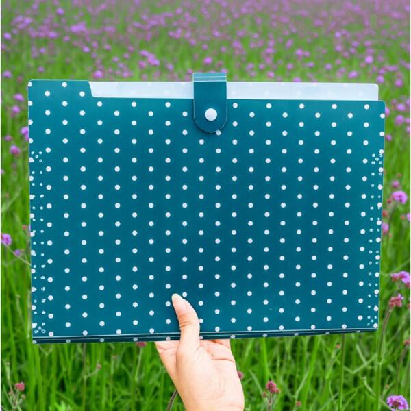 

Polka Dot Pattern File Pocket, Blue