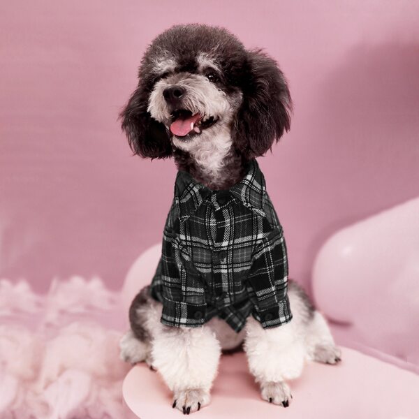 

Plaid Pattern Pet Shirt, Multicolor