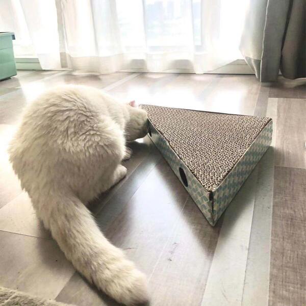 

1pc Random Cat Scratcher, Multicolor