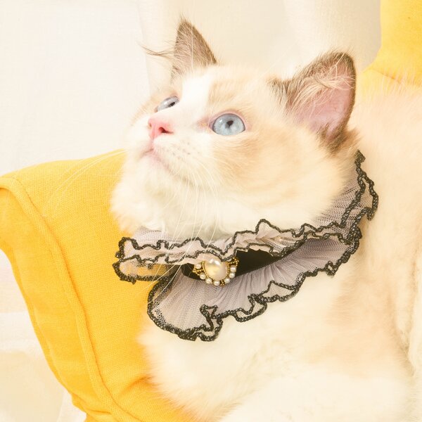 

Pearl Decor Pet Lace Bib, Black