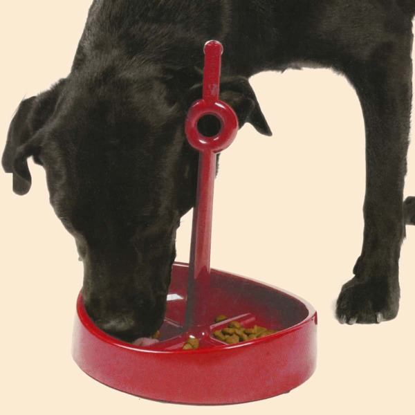 

1pc Solid Color Pet Bowl, Red