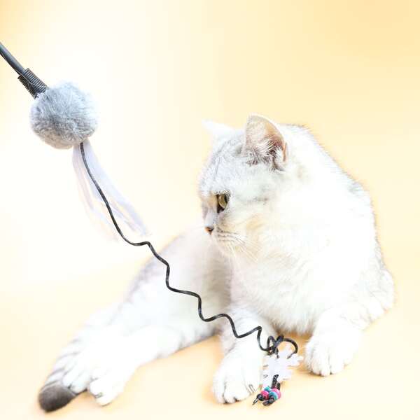 

1pc Snowflake Detail Cat Teaser Stick, Multicolor