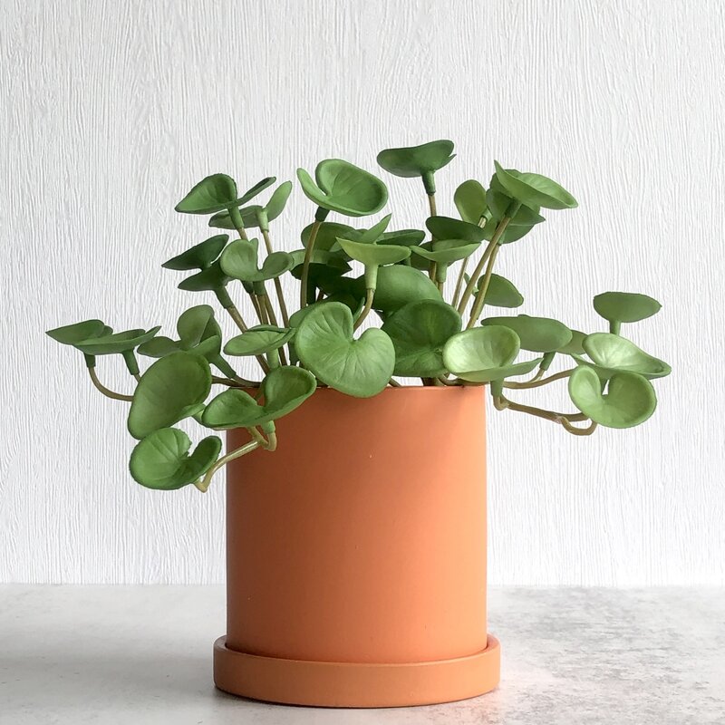 

1pc Artificial Plant, Green