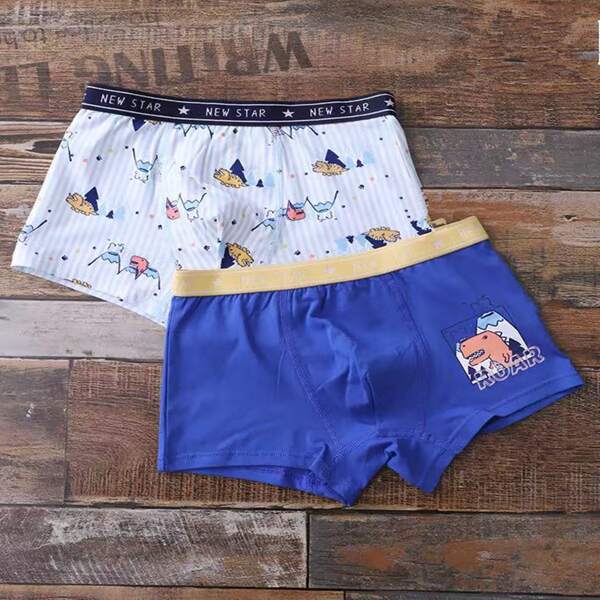

Boys 2pcs Mixed Print Boxer Brief Set, Multicolor