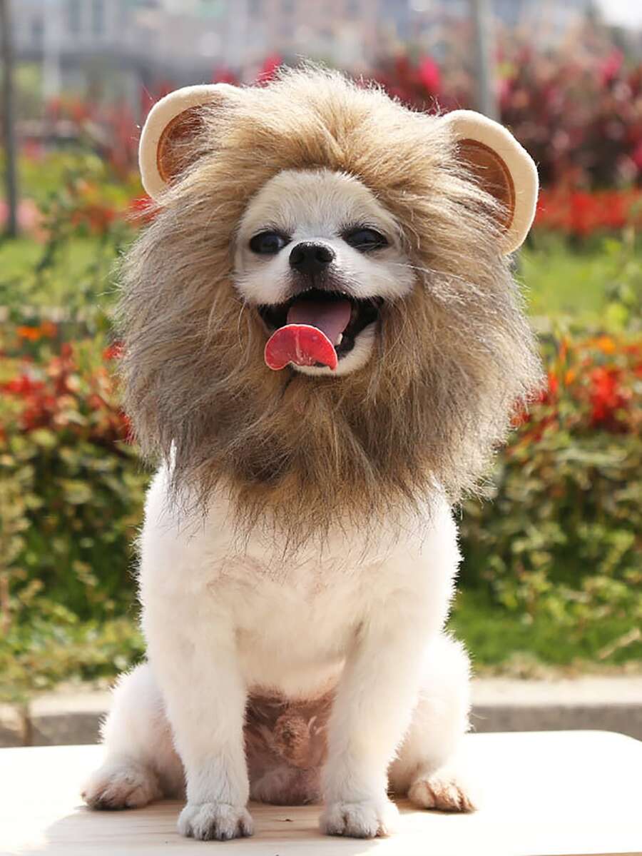 1pc Lion Design Pet Headwear - Brown - View 1