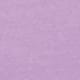 Lilac Purple